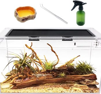 reptile tank amazon best