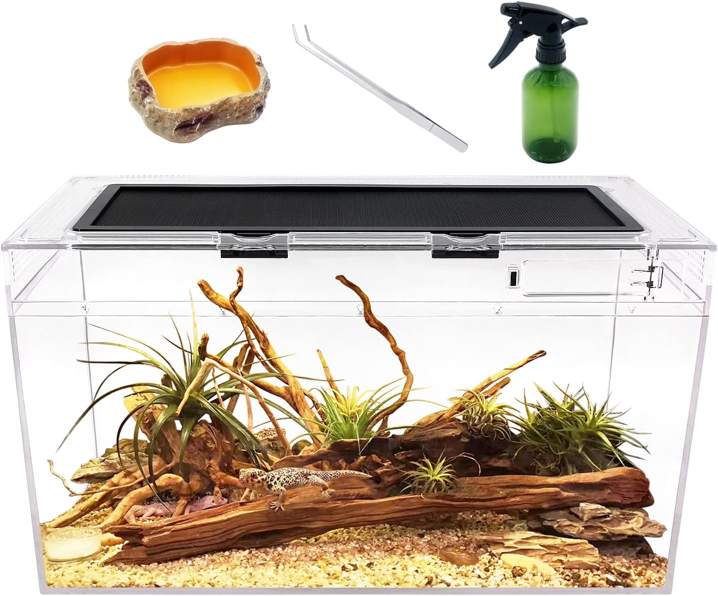 reptile tank amazon best