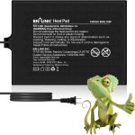reptile heat setup