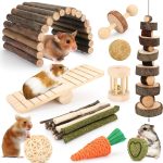 guinea pig enrichment toys