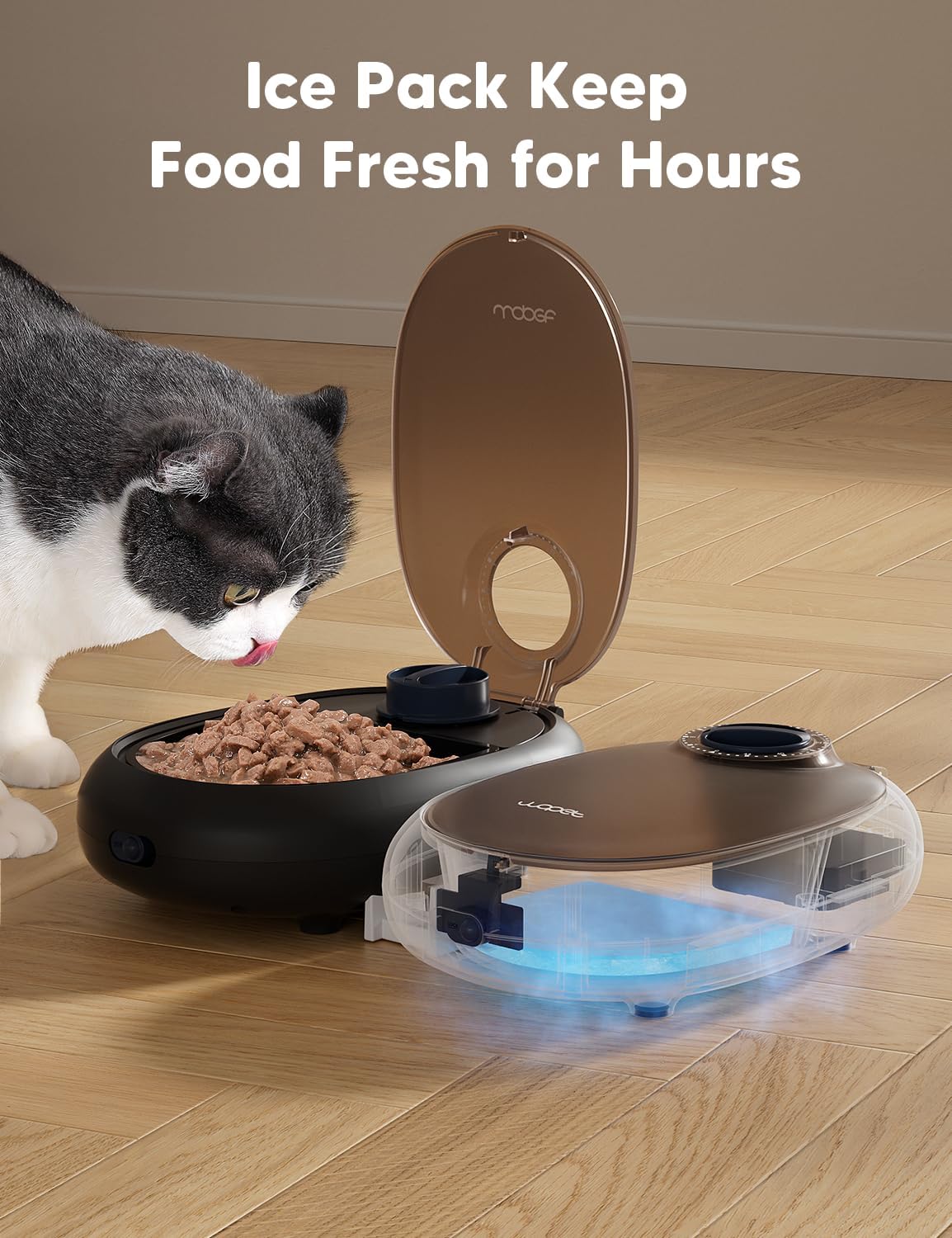 WOPET Automatic Cat Feeder– 48H Programmable Pet Food Dispenser with Ice Pack for Freshness, Yogurt & Canned Meals – Perfect for Cats, Kittens & Small Dogs - Happypetzone.online - Image 5
