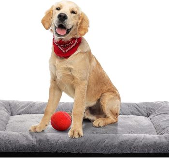 dog crate bed soft
