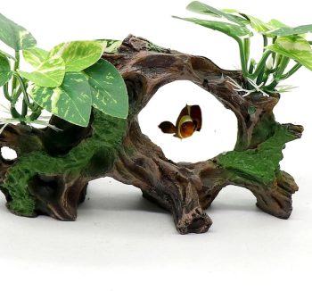 aquarium aesthetic decor