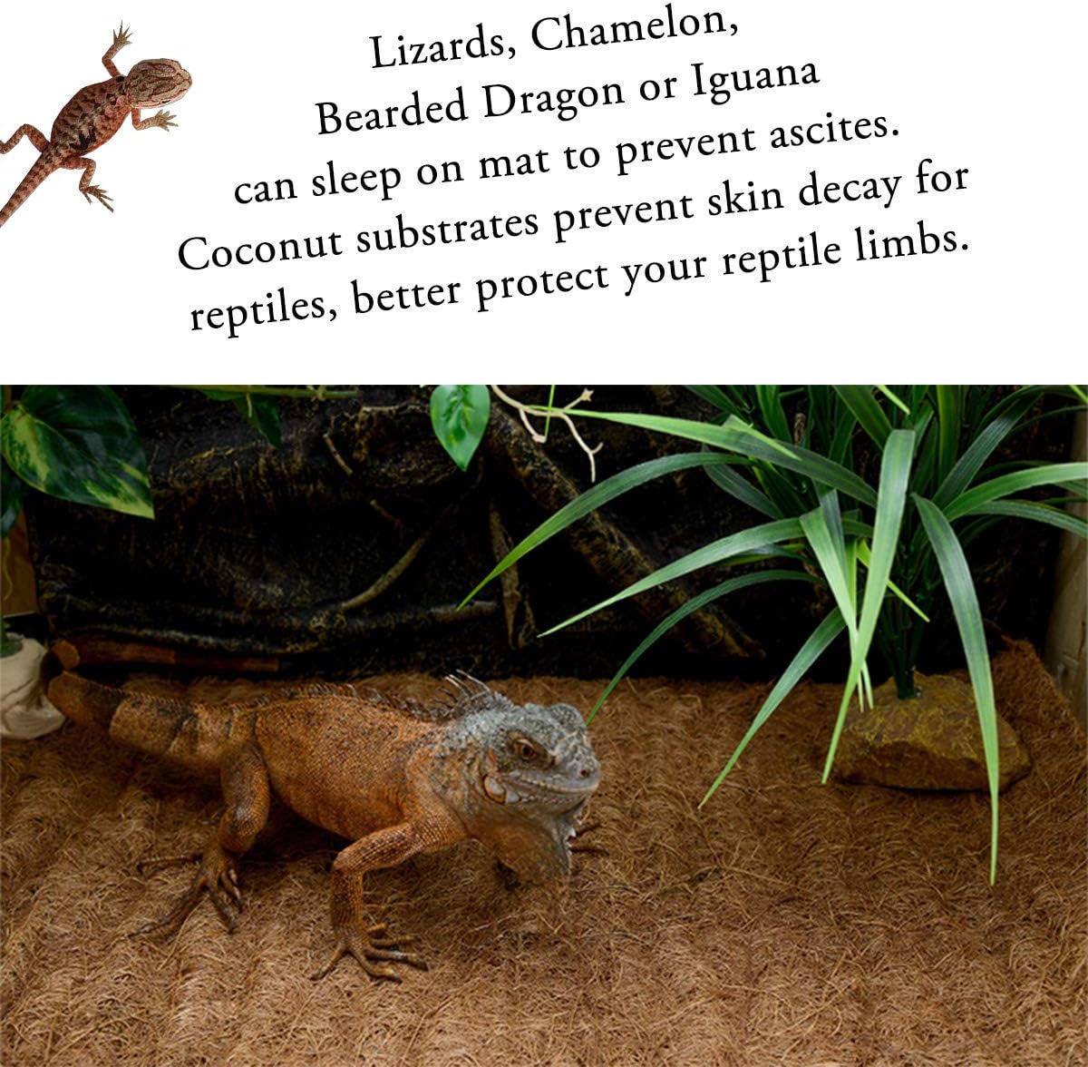 Reptile Carpet Natural Coconut Fiber, 36" x 18" Tortoise Carpet Mat for Pet Terrarium Liner, Reptile Bedding Supplies for Lizard, Snake, Chameleon, Turtle, Bearded Dragon - Happypetzone.online - Image 4