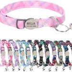cat collar personalized