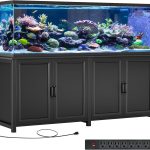 aquarium tank large