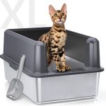 cat litter box for big cats