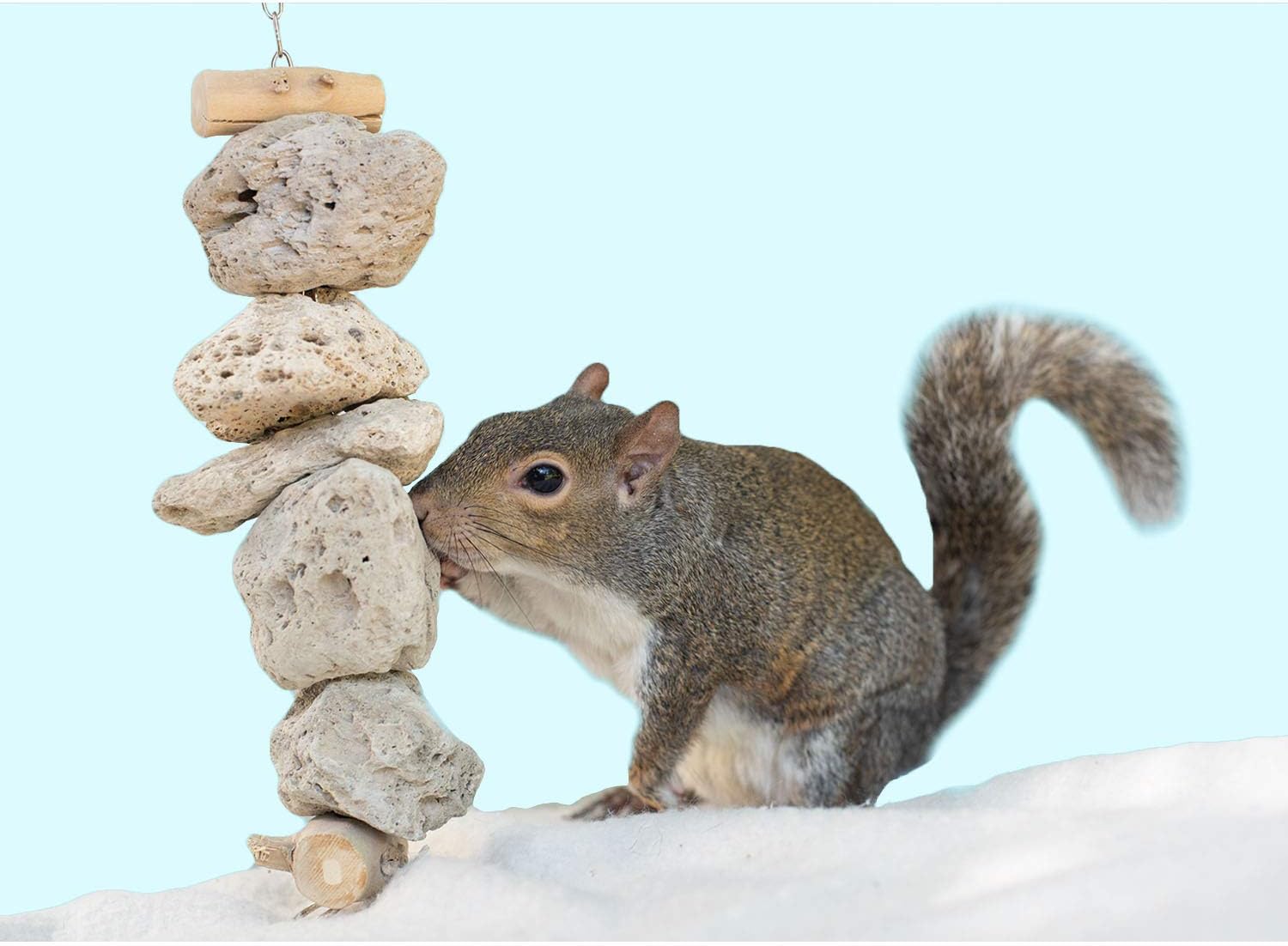 Exotic Nutrition Pumice Chew Dangle - Natural Healthy Hanging Cage Accessory Toy - for Squirrels, Degus, Chinchillas, Prairie Dogs, Birds, Rats, Hamsters, Guinea Pigs & Other Small Pets - Happypetzone.online - Image 2