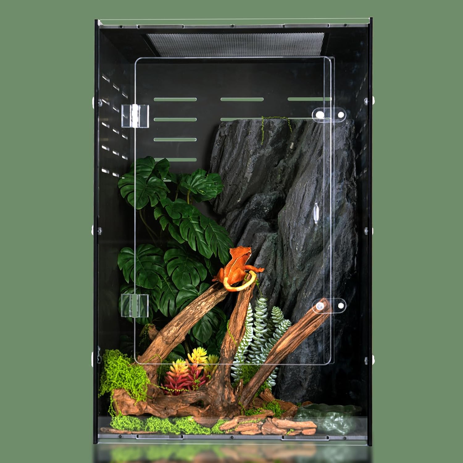 reptile habitat enclosure