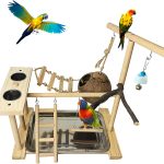 bird toys hanging