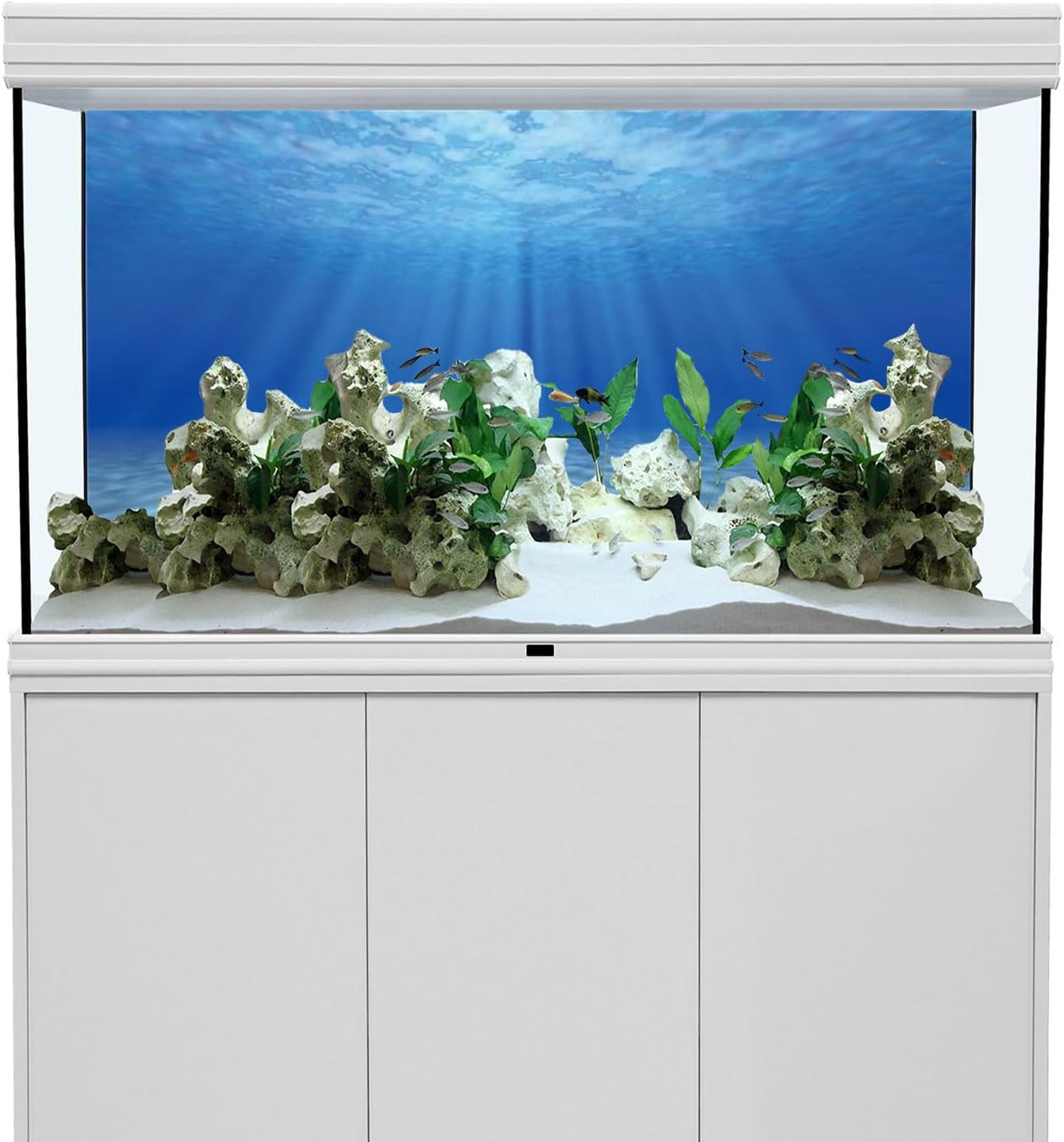 AWERT Undersea Theme Aquarium Background Sunshine Underwater World Fish Tank Background 24x12 inches - Happypetzone.online - Image 2