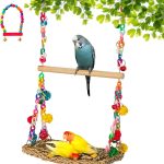 bird swing toys