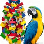 bird chewing toys