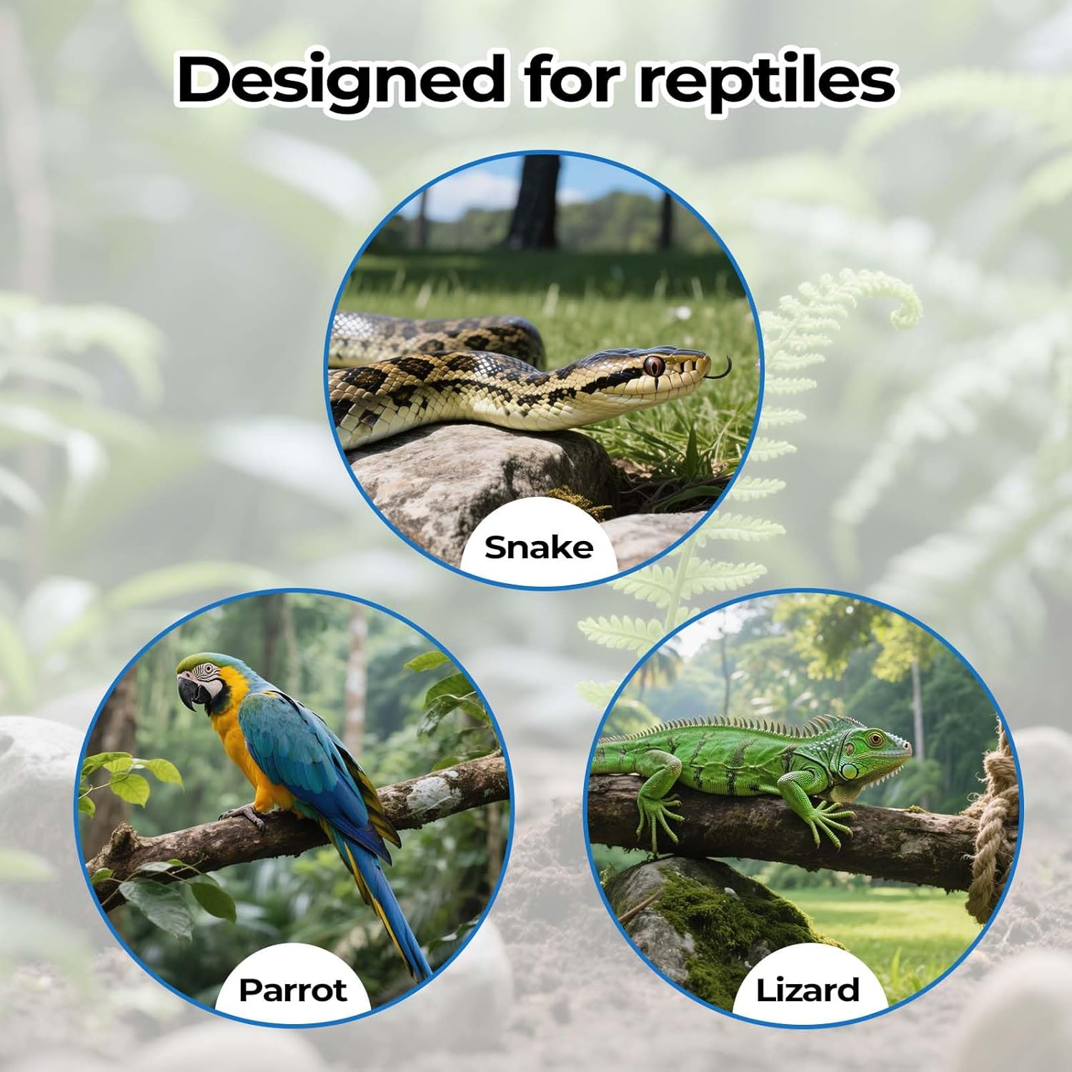 2 Pack Snake Climbing Rings for Ball Python & Corn Snake,Reptile Enrichment Toys for Snake,Ball Python Tank Decor, Reptile Tank Accessories for Bearded Dragon,Chameleon, Iguana, Gecko, Lizard (Black) - Happypetzone.online - Image 5