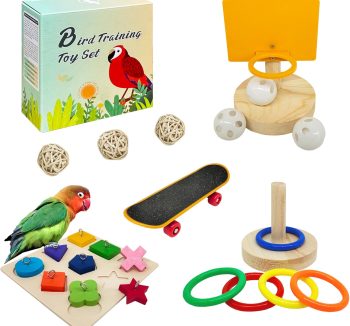 bird toys interactive