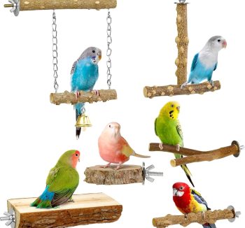 bird perch set