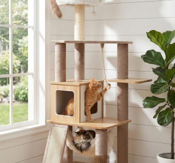 cat tower luxury