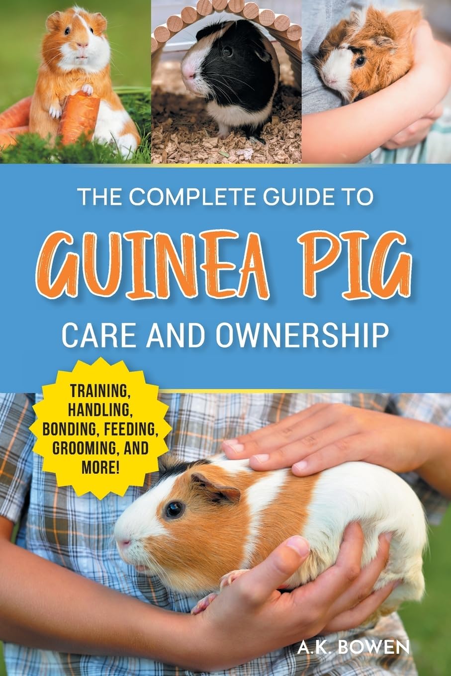 hamster care essentials