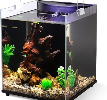 freshwater aquarium tank