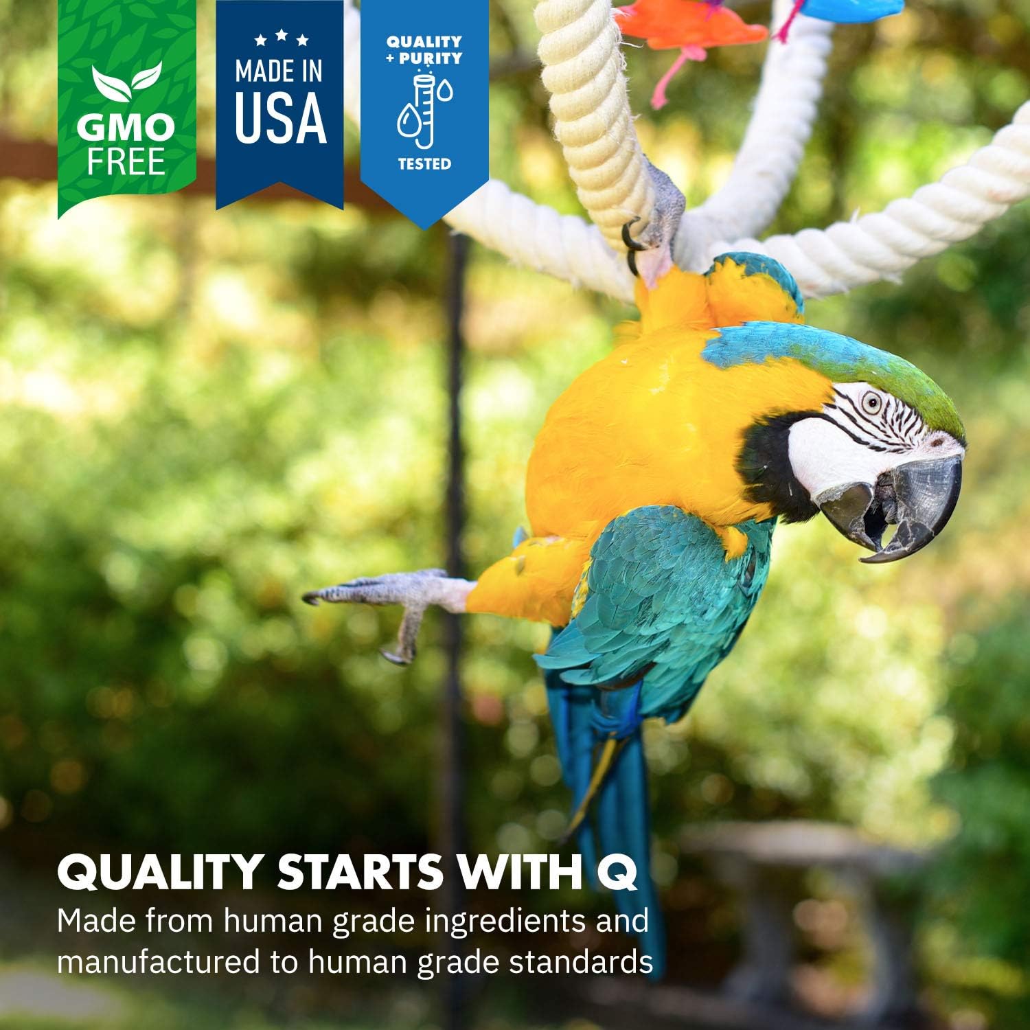 HealthyGut™ Avian Probiotics Dietary Supplement for Parrots, All-Natural Digestive System Formula (120 Servings) - Happypetzone.online - Image 3