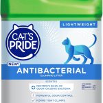 cheap cat litter bulk