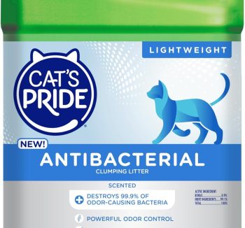 cheap cat litter bulk