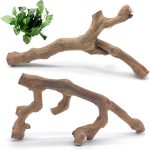reptile climbing logs