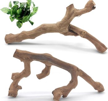 reptile climbing logs