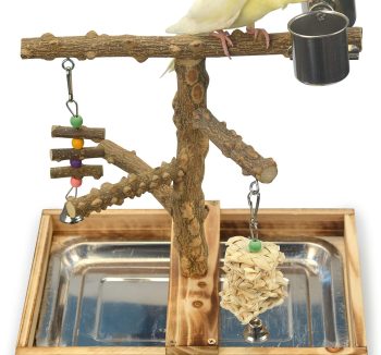 bird play perch stand