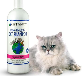 cat shampoo gentle