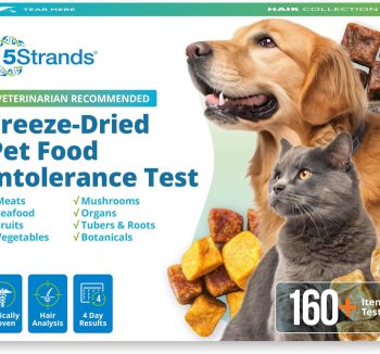 dog food for allergies