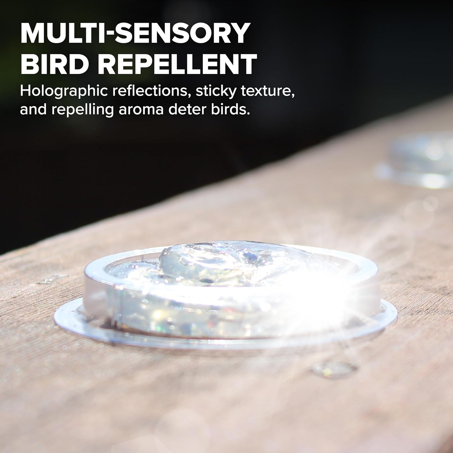 Bird B Gone - SpectrumV Holographic Bird Gel - Bird Repellent Gel - Repels Birds - Protect Edges, Ledges, Rooftops, Etc - UV Protected & Humane - Easy to Install Dishes - 12 Pack - Happypetzone.online - Image 2