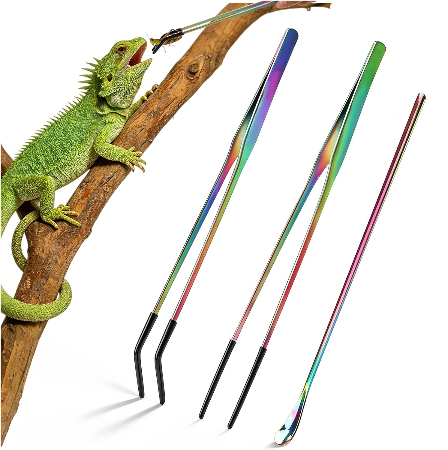 reptile feeding supplies