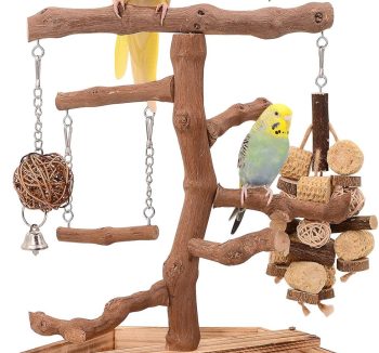bird play perch stand