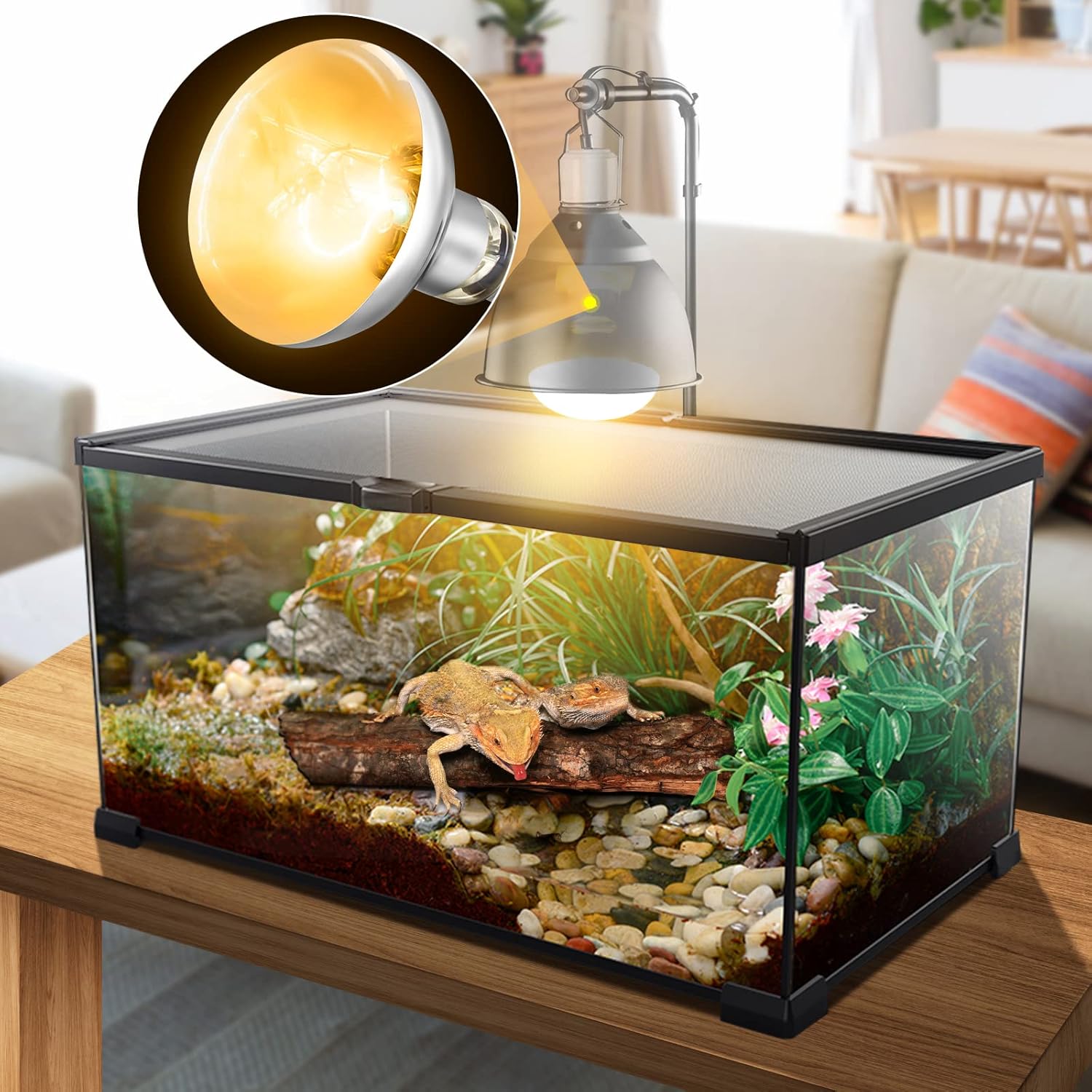MIXJOY 2 Pack 100W Reptile Heat Lamp Bulb Full Spectrum UVA UVB Sun Light for Reptile and Amphibian Use - Happypetzone.online - Image 5