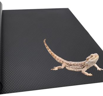 reptile carpet liner