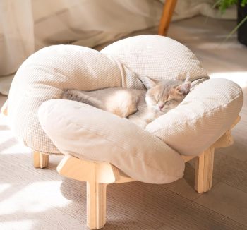 cat furniture modern