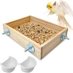 natural bird food