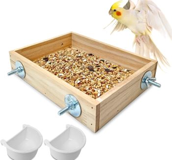 natural bird food