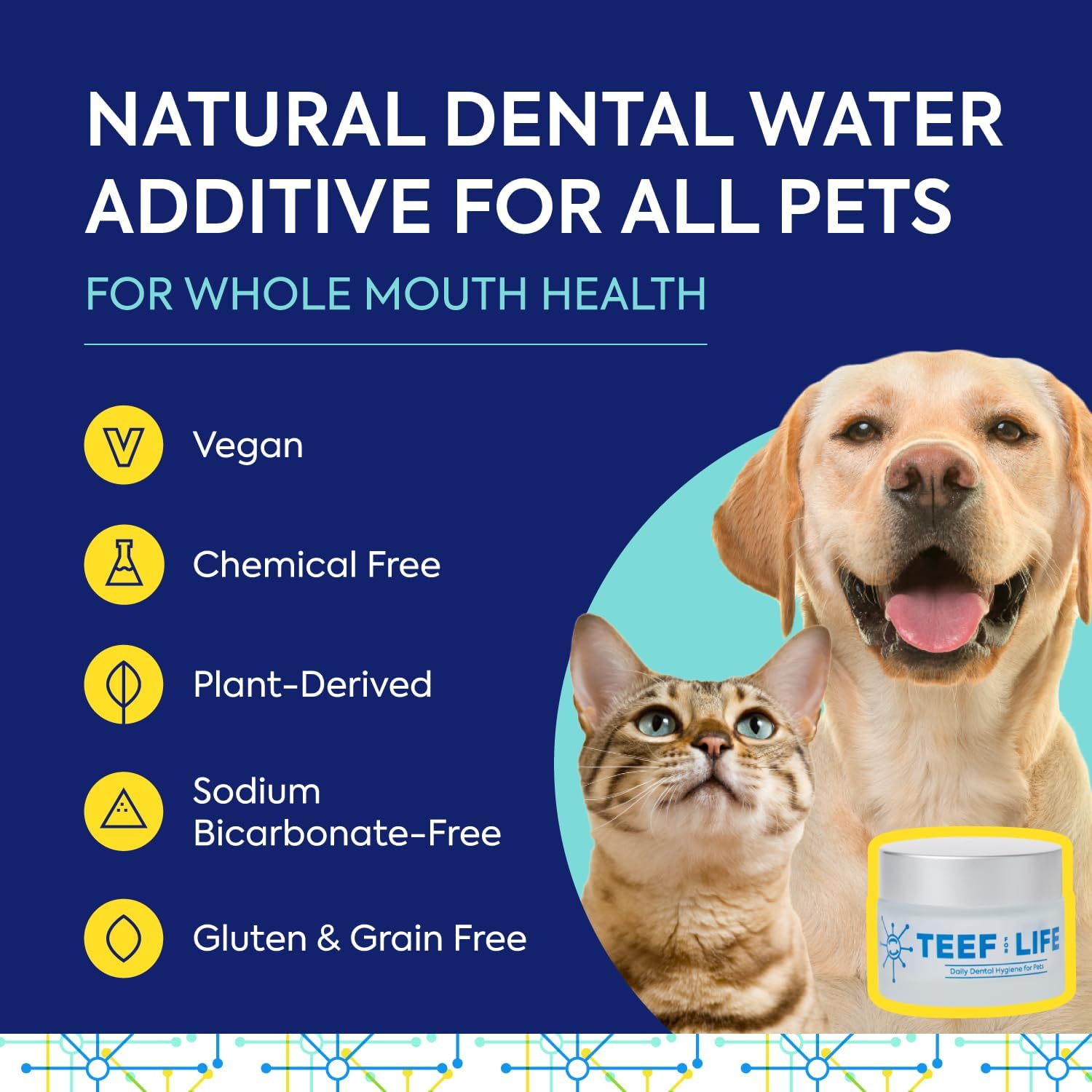 Teef For Life Protektin42+K Plant-Derived Daily Dental Care for All Pets (Sodium-Free), Prebiotic Dental Powder, Naturally Fights Plaque and Tartar, Kit with 90 Servings - Happypetzone.online - Image 2