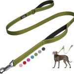 dog leash durable