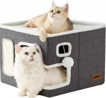 cat bed indoor