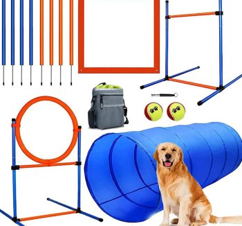 best dog training equipment