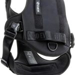 best dog harness for training