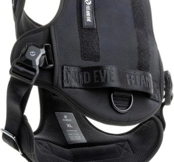 best dog harness for training
