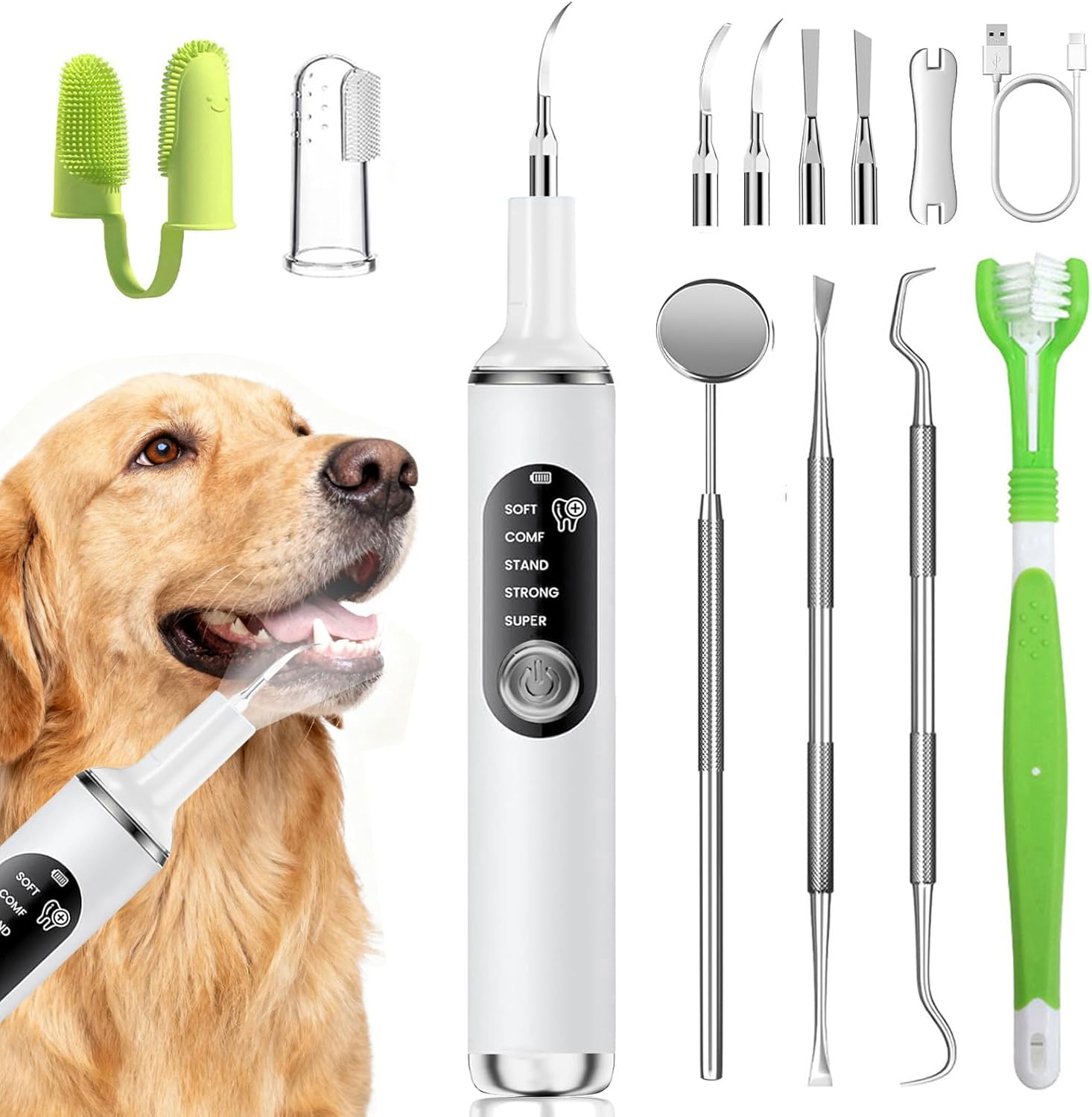dog teeth cleaning kit