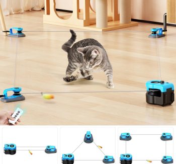 cat toys for exercise