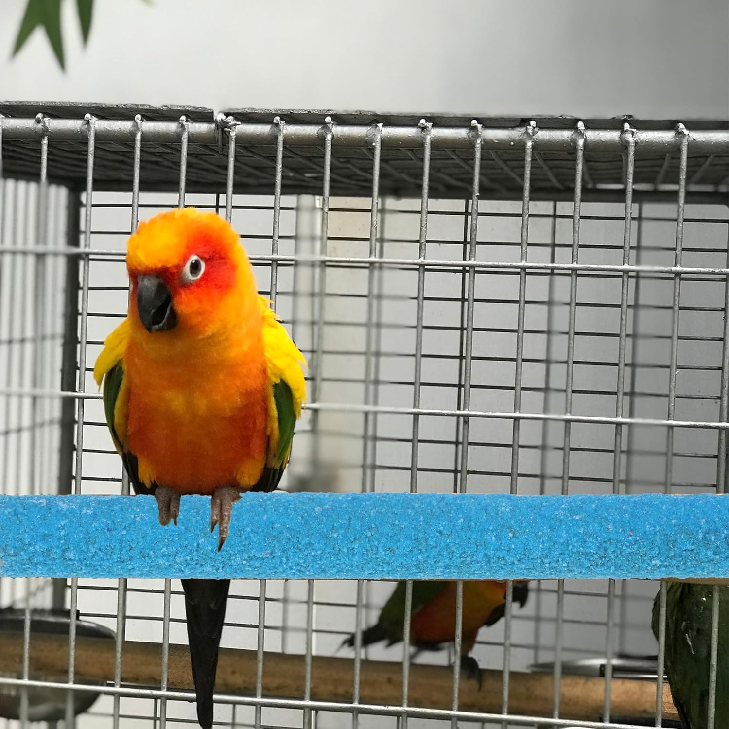Bird Perches Stand for Cage, 2 Pcs Parrot Bird Cage Perch Toy Paw Grinding Stick Cages Wooden Grinding Claw Sticks Sanded Surface Cages Toy for Parakeets Finches Parakeet Toys Birdcage Accessories - Happypetzone.online - Image 6