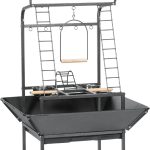 bird play perch stand
