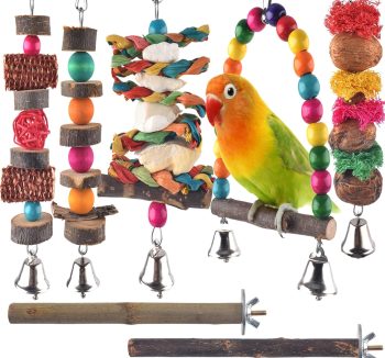 bird toys for cage